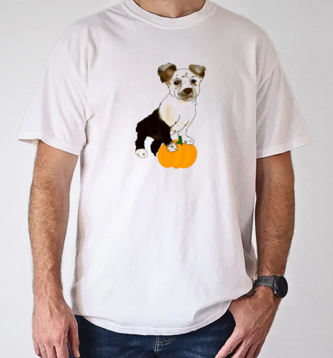 Dog pumpkin CC classic T-Shirt Classic Men's T-shirt