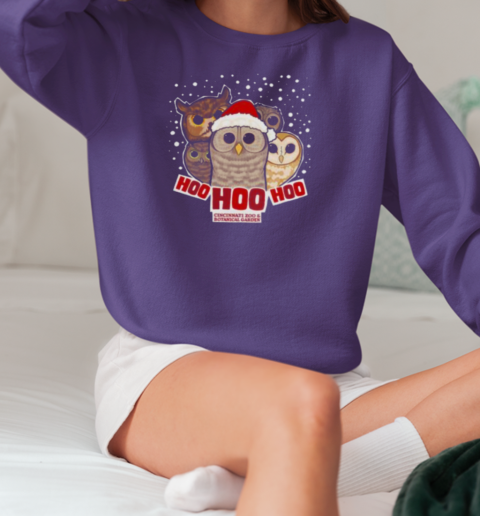 Good Cute Hoo Hoo Hoo Holiday Owls Christmas T-Shirt Unisex Sweatshirt