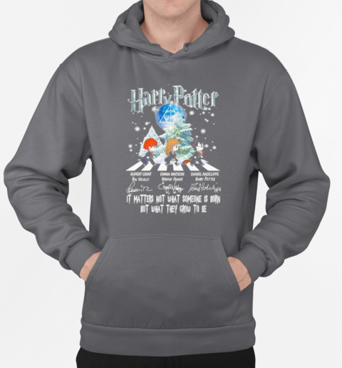 Harry Potter Abbey Road It Matters Not What Someone Is Born But What They Grow To Be T-Shirt Unisex Hoodie