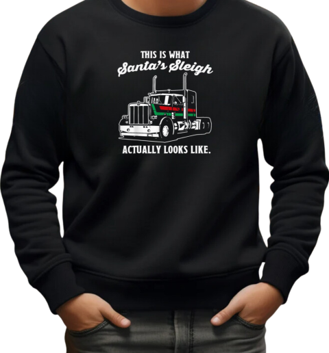 This Is Santa's Sleigh Actually Looks Like Trucker T-Shirt Unisex Sweatshirt