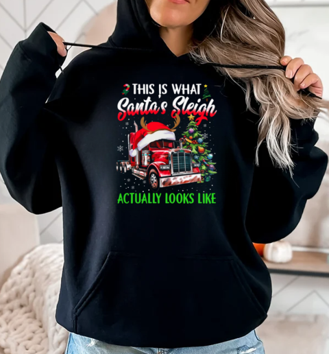 This Is What Santa's Sleigh Actually Looks Like Funny Christmas Trucker T-Shirt Unisex Hoodie